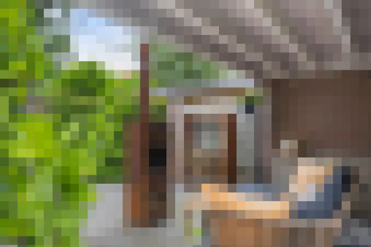Korenbloem 40 Helden thumbnail 29