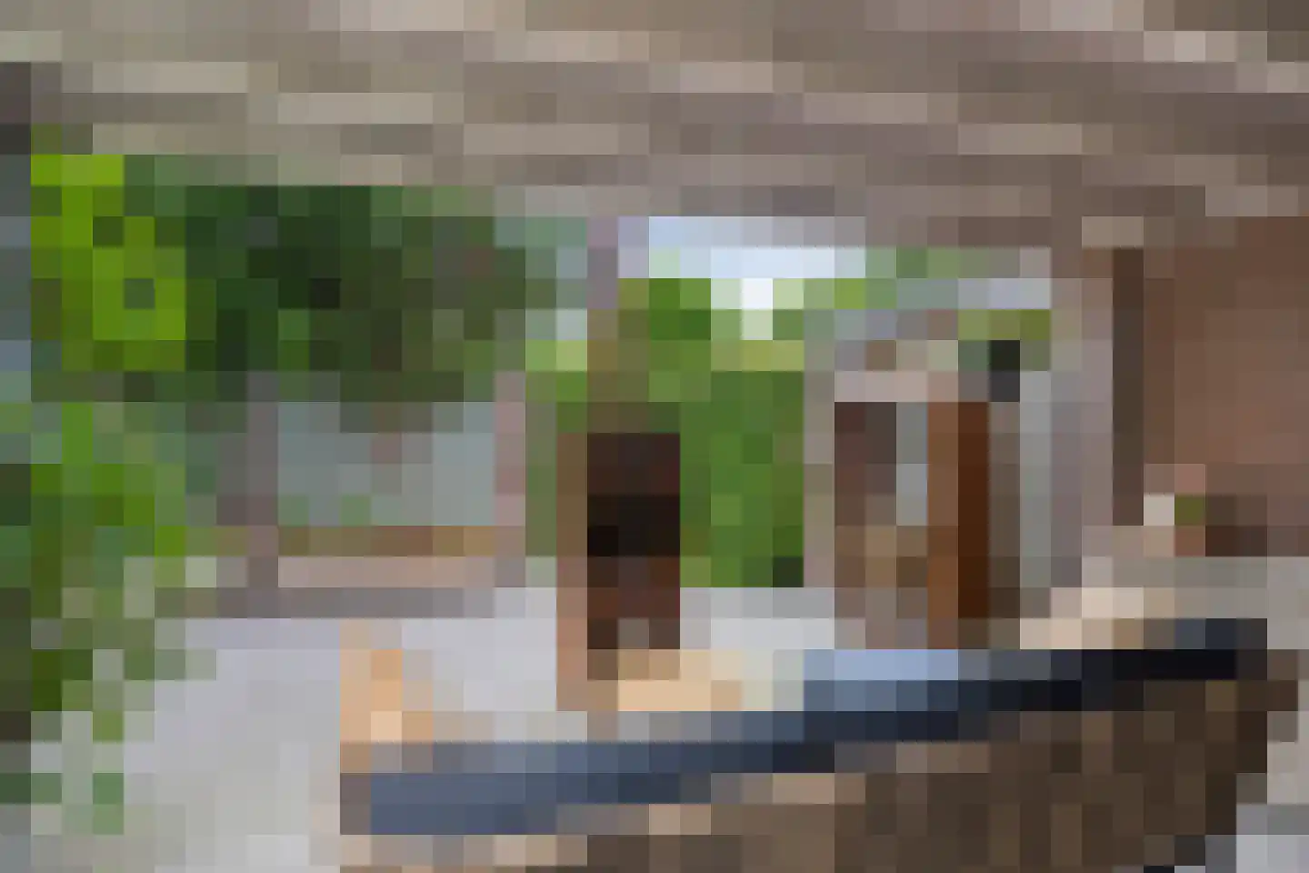 Korenbloem 40 Helden thumbnail 30