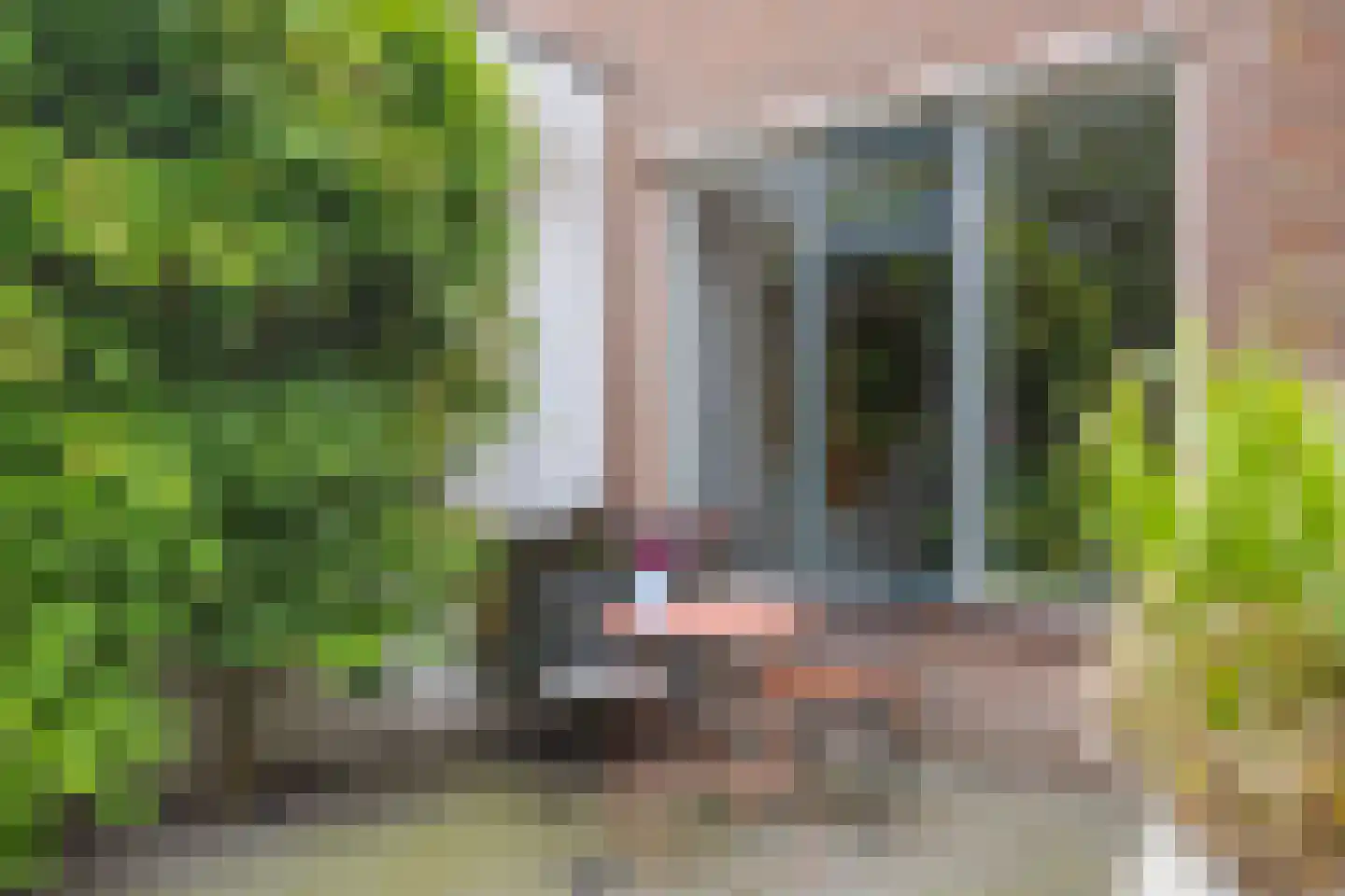 Korenbloem 40 Helden thumbnail 34