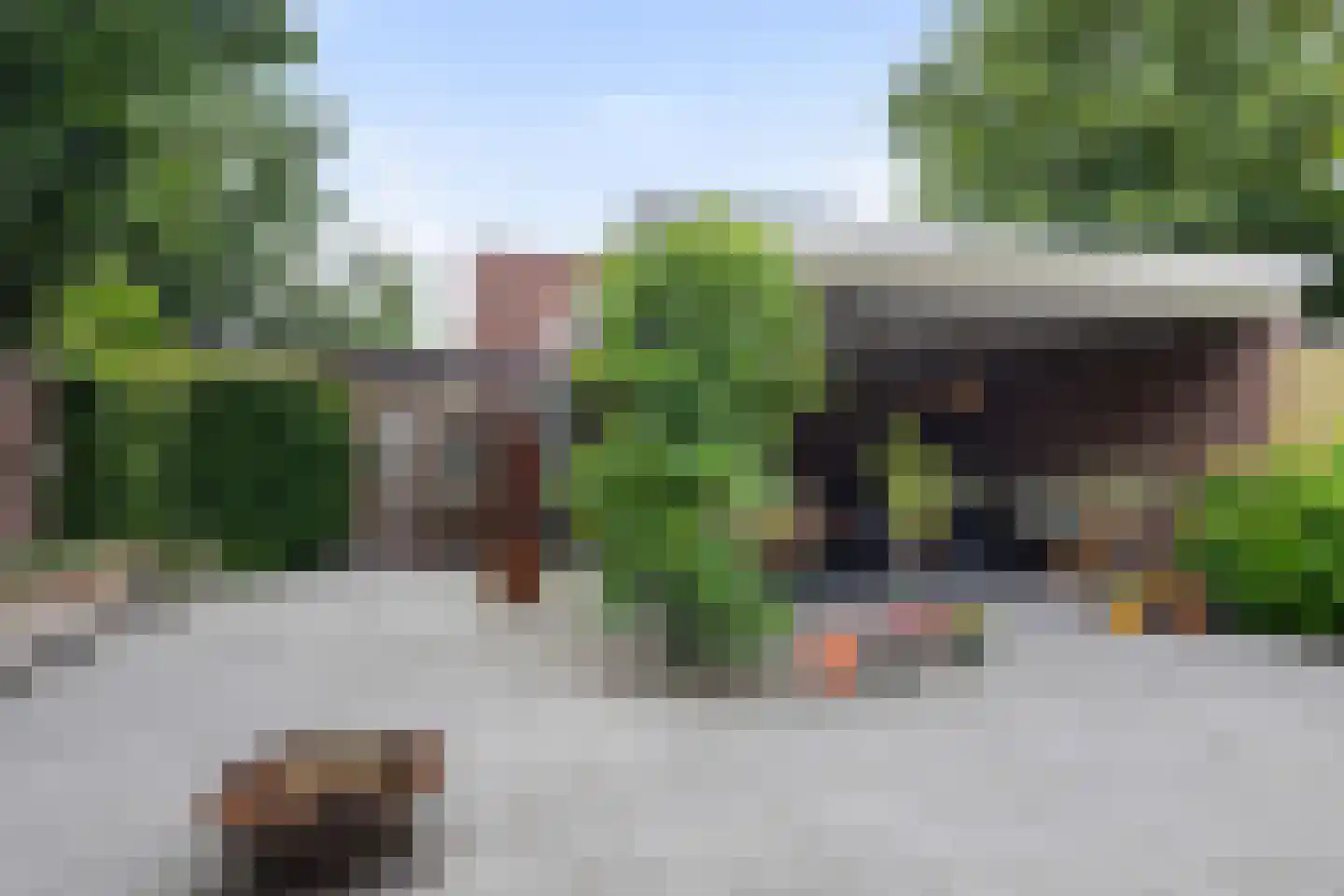 Korenbloem 40 Helden thumbnail 4