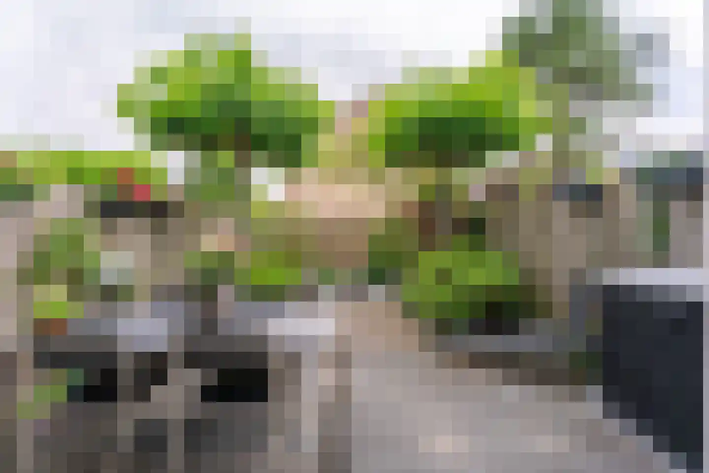 Korenbloem 43 Leiden thumbnail 22