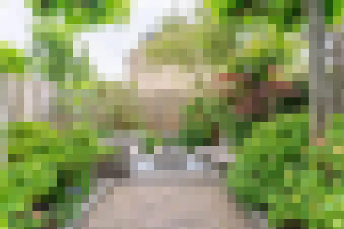 Korenbloem 43 Leiden thumbnail 23