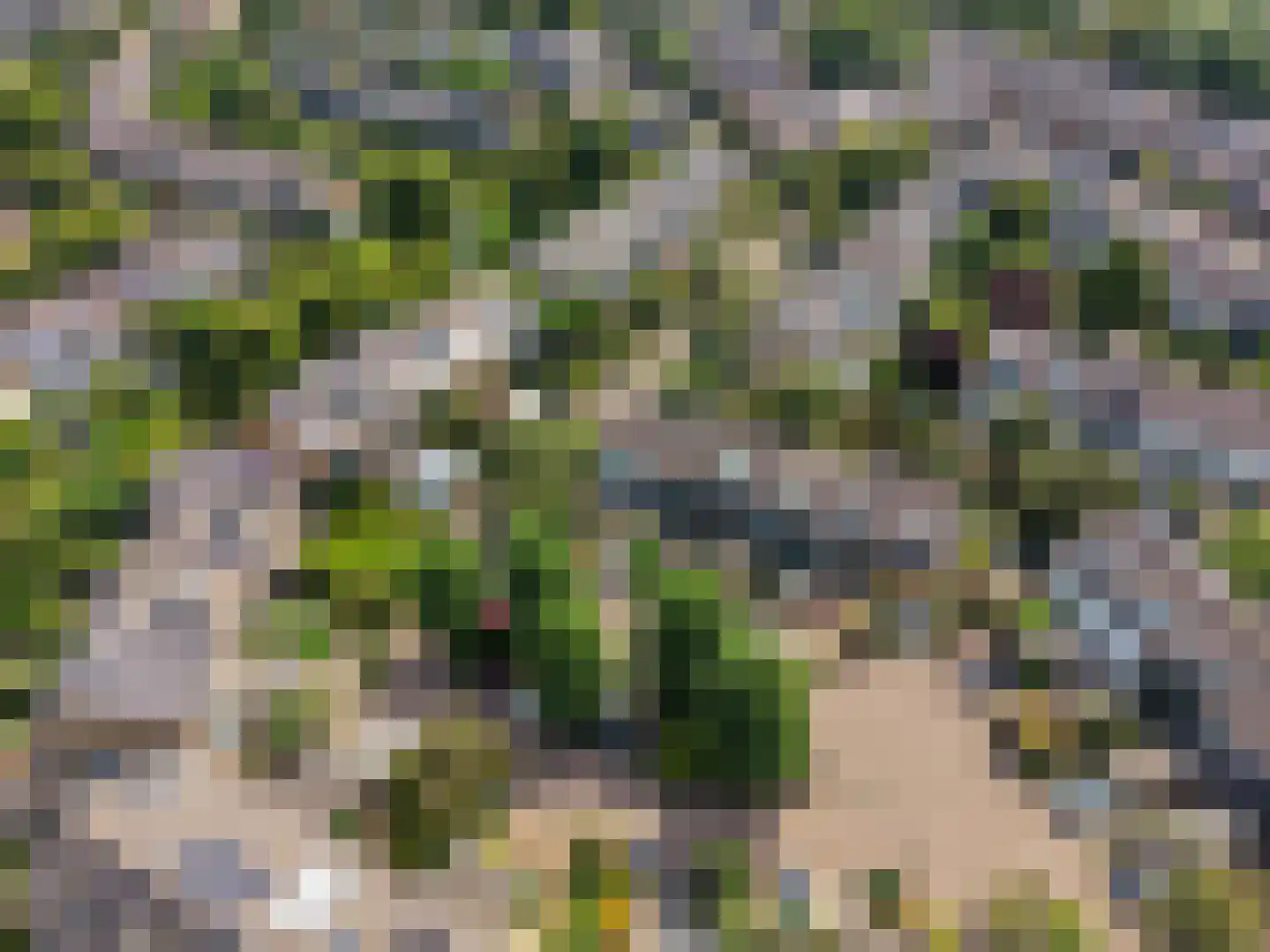 Korenbloem 43 Leiden thumbnail 26