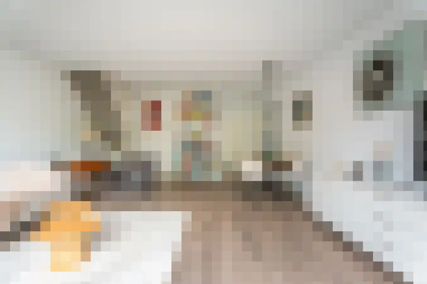 Korenbloem 43 Leiden thumbnail 4