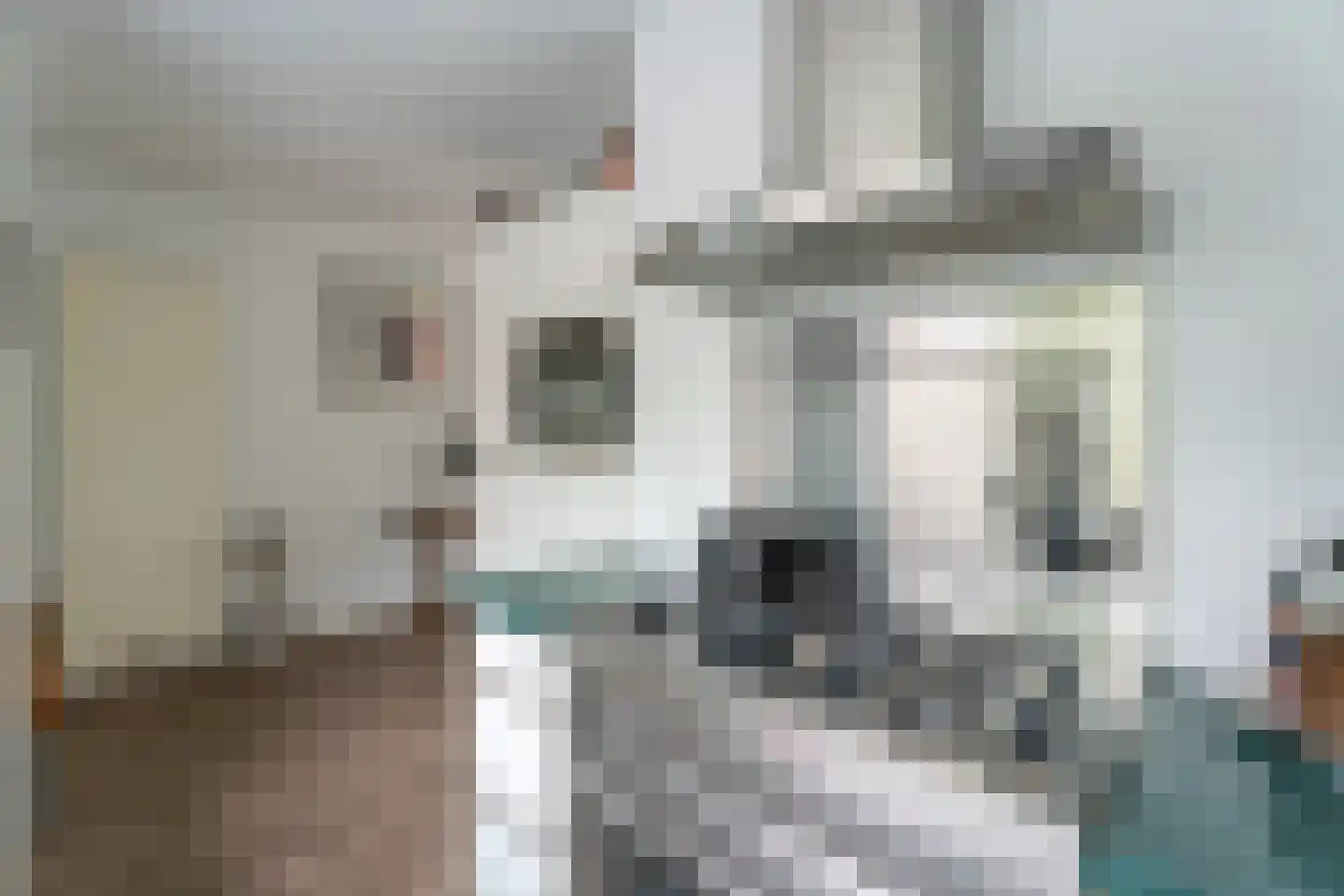 Korenbloem 43 Leiden thumbnail 8