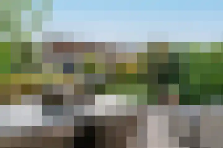 Korenbloem 43 Mijdrecht thumbnail 31