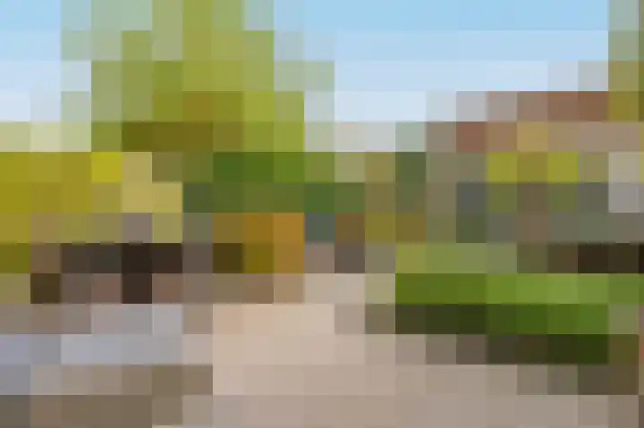 Korenbloem 43 Mijdrecht thumbnail 32