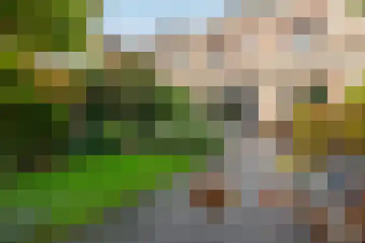 Korenbloem 43 Mijdrecht thumbnail 35