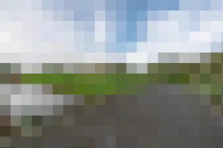 Korenbloem 43 Mijdrecht thumbnail 39