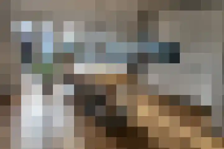 Korenbloem 45 Culemborg thumbnail 12