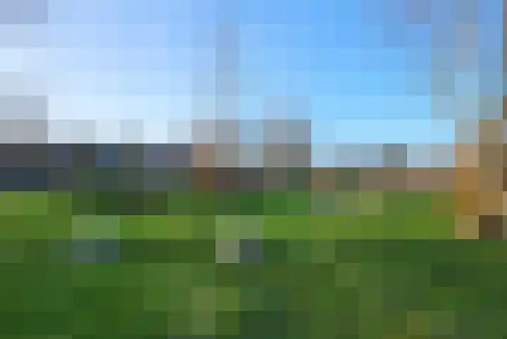 Korenbloem 45 Culemborg thumbnail 38