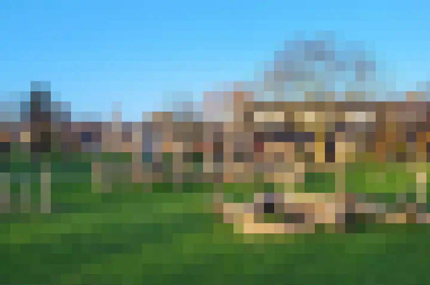 Korenbloem 45 Culemborg thumbnail 39