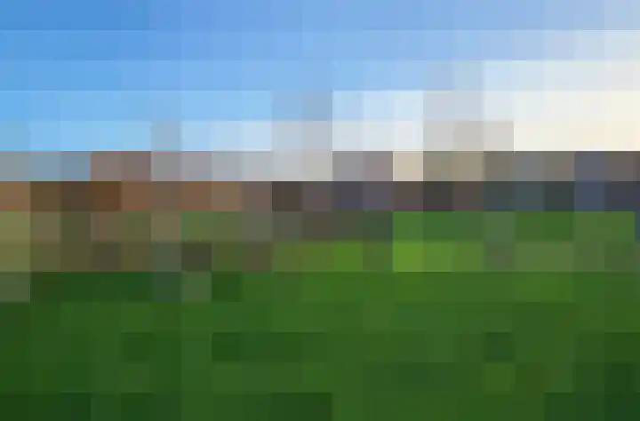 Korenbloem 45 Culemborg thumbnail 40