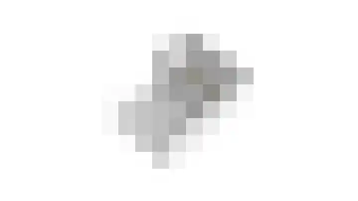 Korenbloem 45 Culemborg thumbnail 53