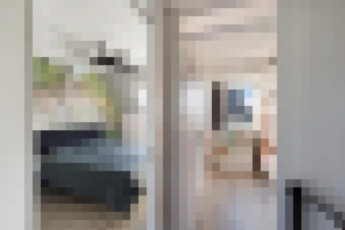 Korenbloem 5 Bergambacht thumbnail 14