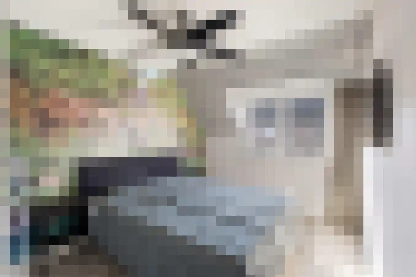 Korenbloem 5 Bergambacht thumbnail 15