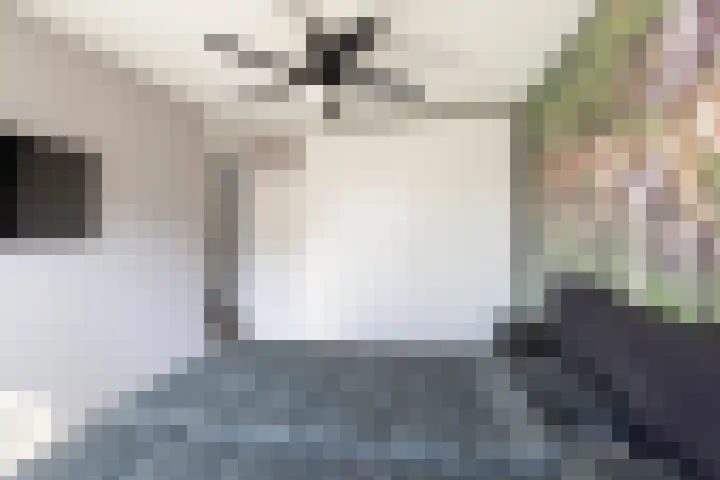 Korenbloem 5 Bergambacht thumbnail 16