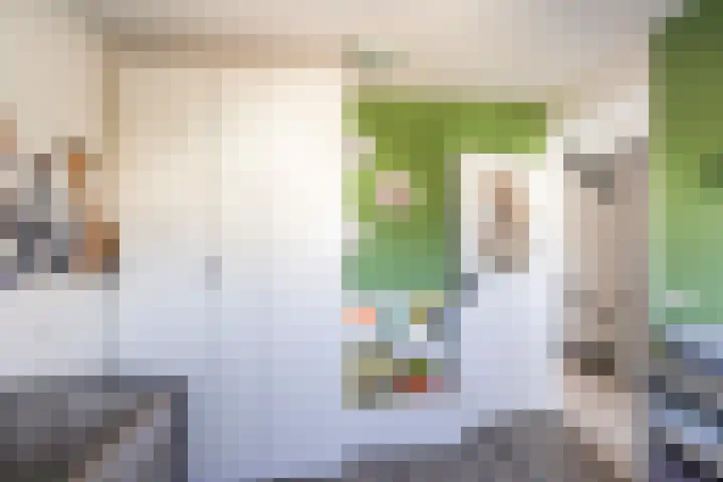 Korenbloem 5 Bergambacht thumbnail 21