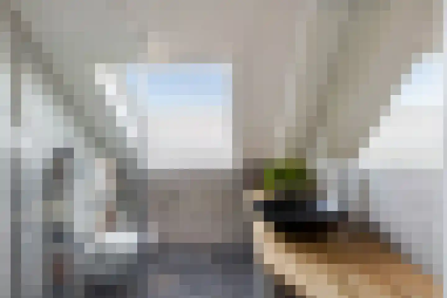 Korenbloem 5 Bergambacht thumbnail 22