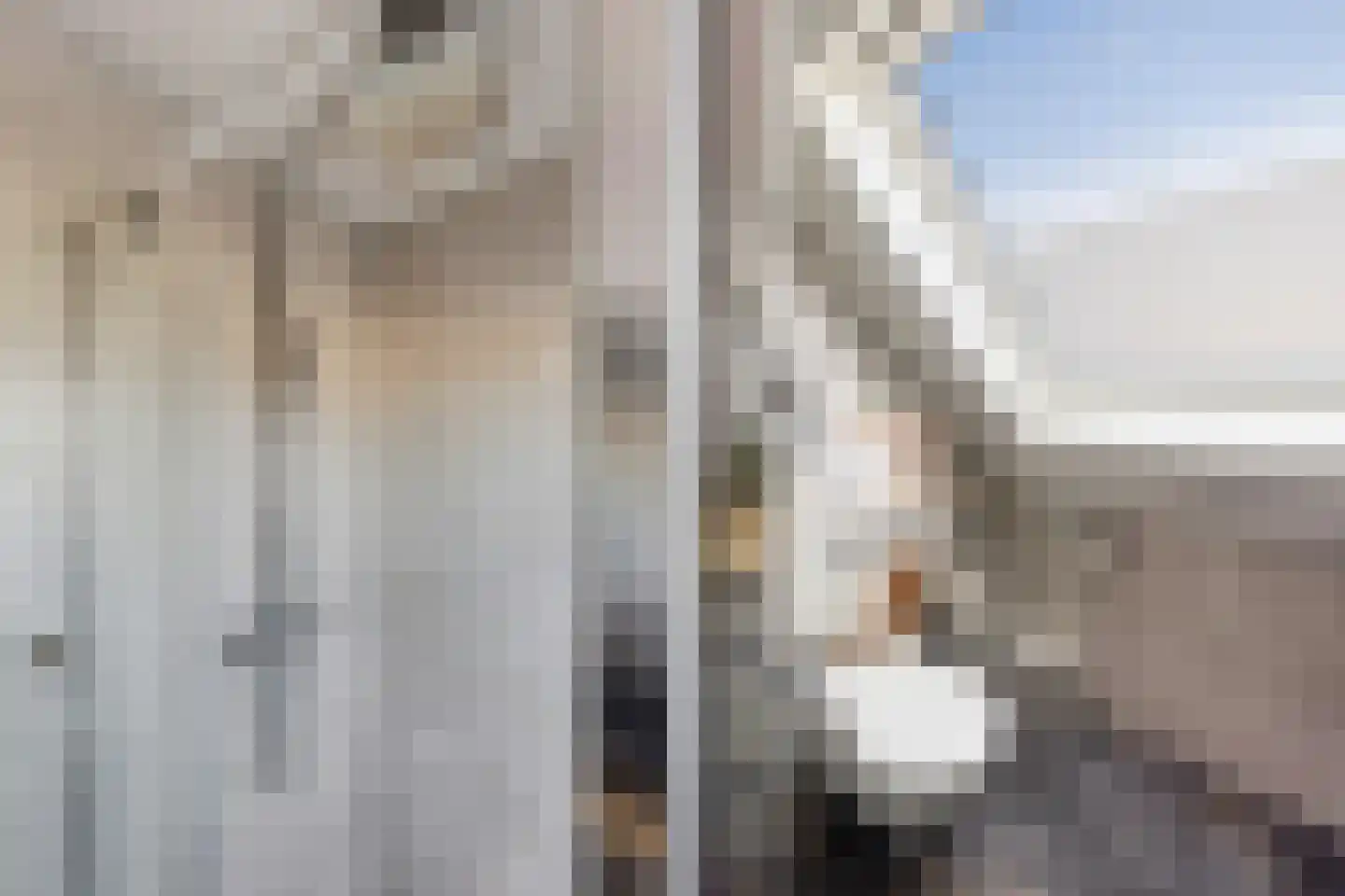 Korenbloem 5 Bergambacht thumbnail 23