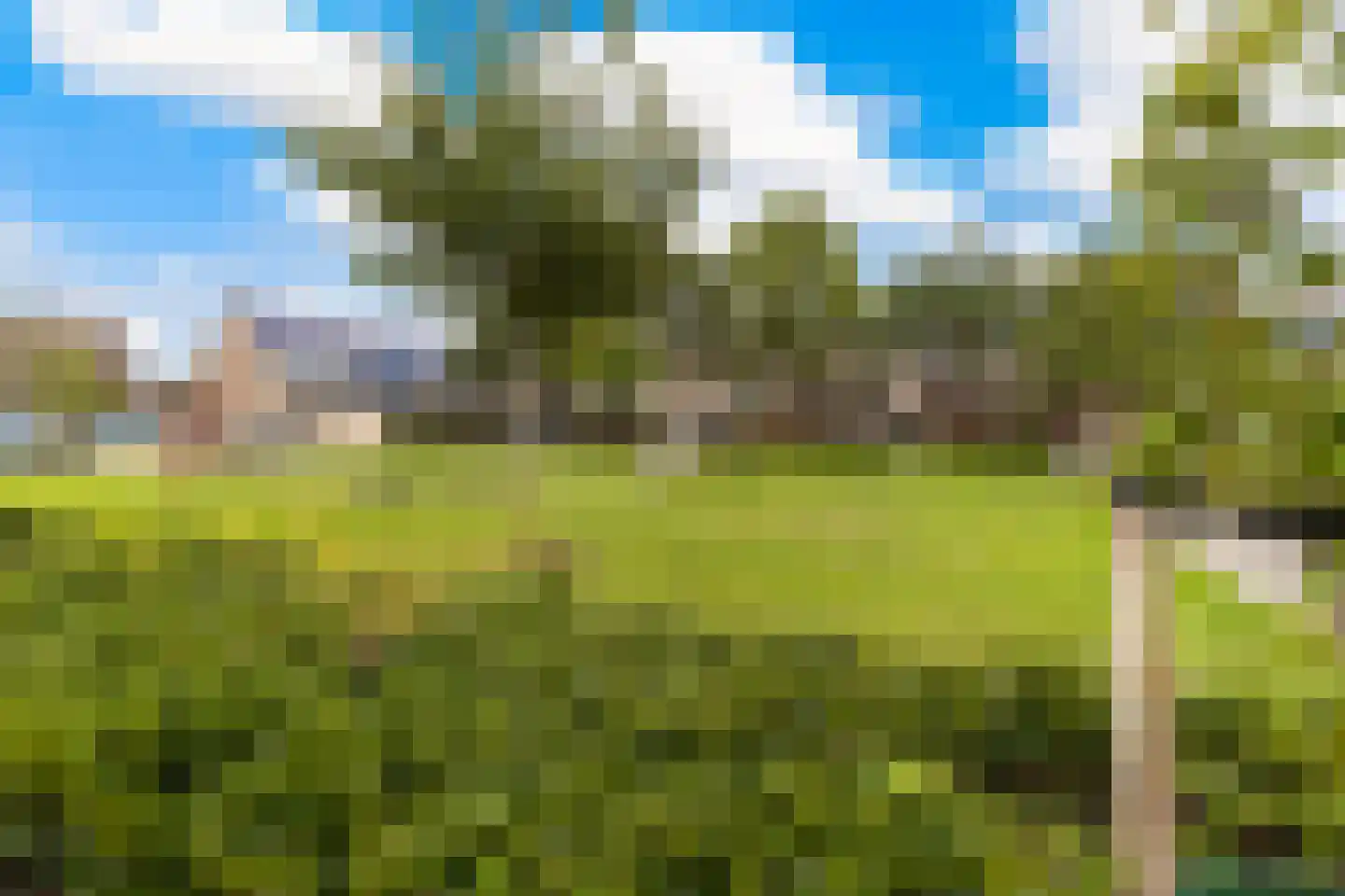 Korenbloem 5 Bergambacht thumbnail 28