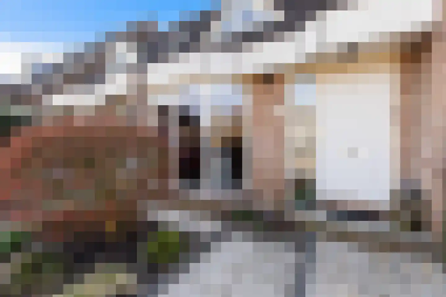 Korenbloem 5 Bergambacht thumbnail 31