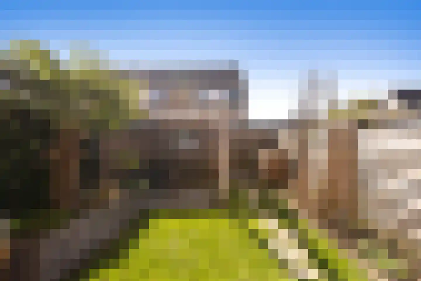 Korenbloem 5 Bergambacht thumbnail 32