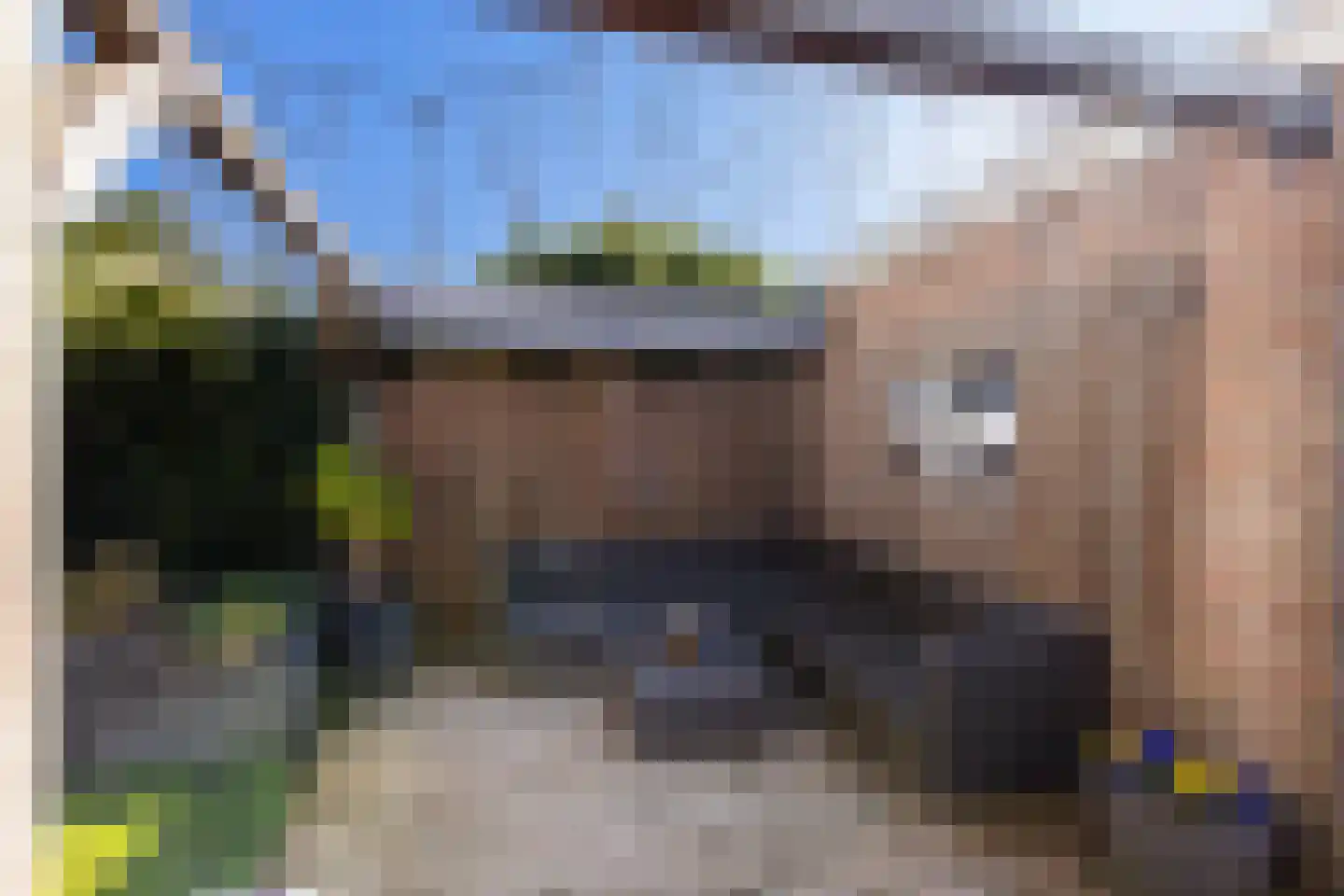 Korenbloem 5 Bergambacht thumbnail 33