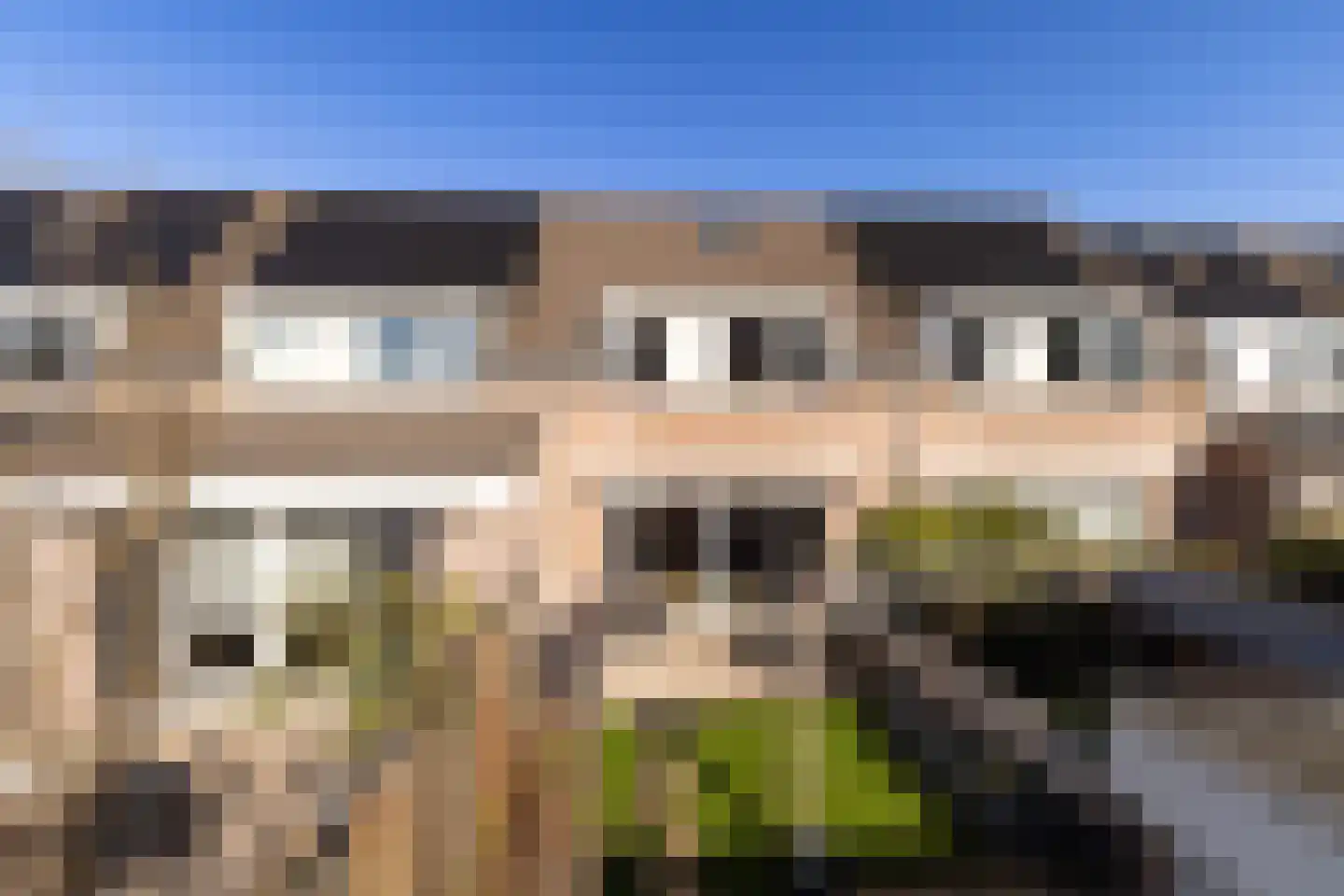Korenbloem 5 Bergambacht thumbnail 34
