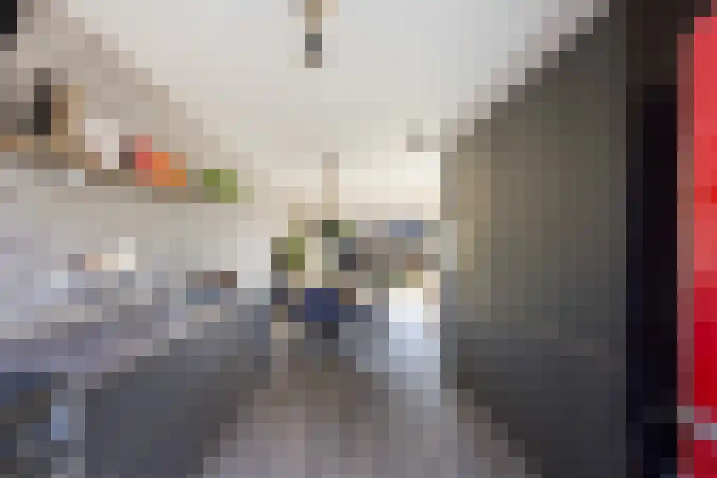 Korenbloem 5 Bergambacht thumbnail 4