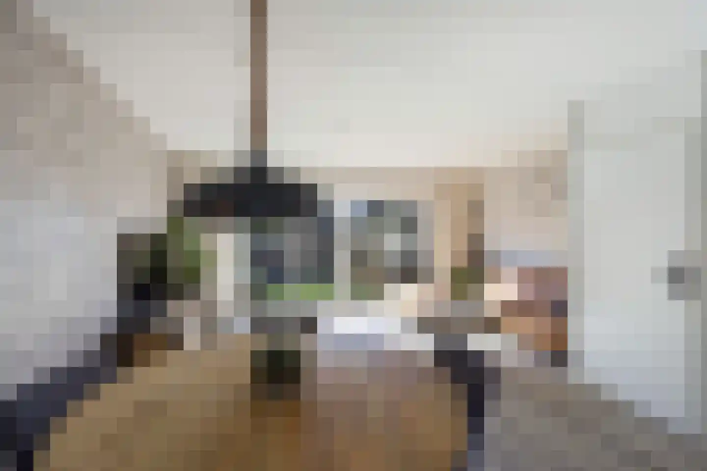 Korenbloem 5 Bergambacht thumbnail 7