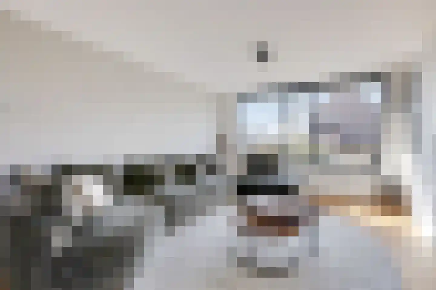 Korenbloem 5 Duiven thumbnail 11