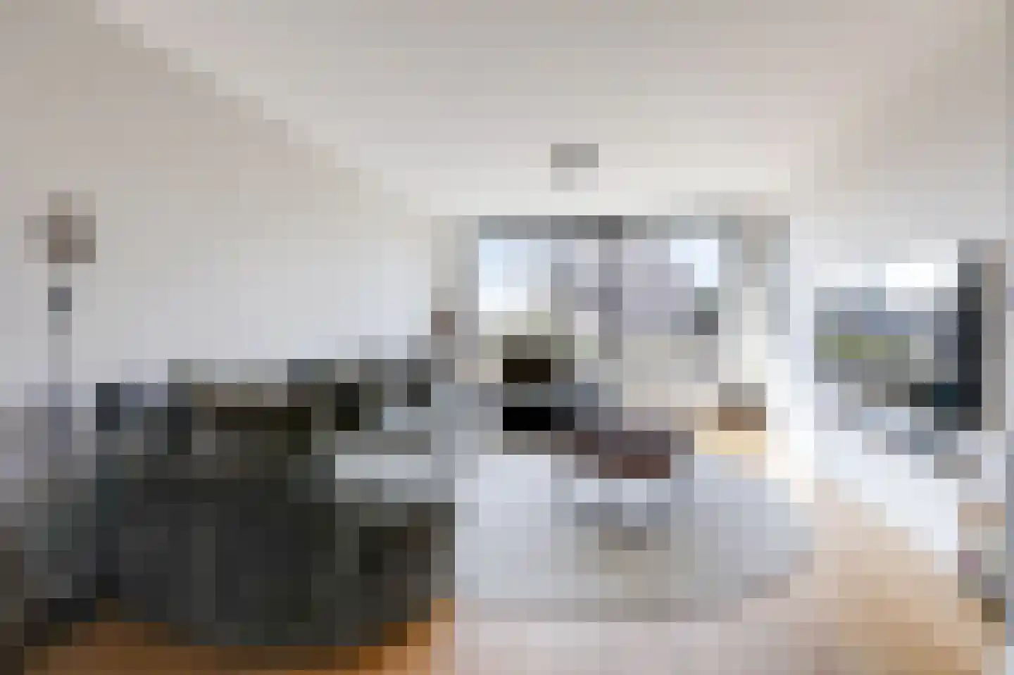 Korenbloem 5 Duiven thumbnail 12