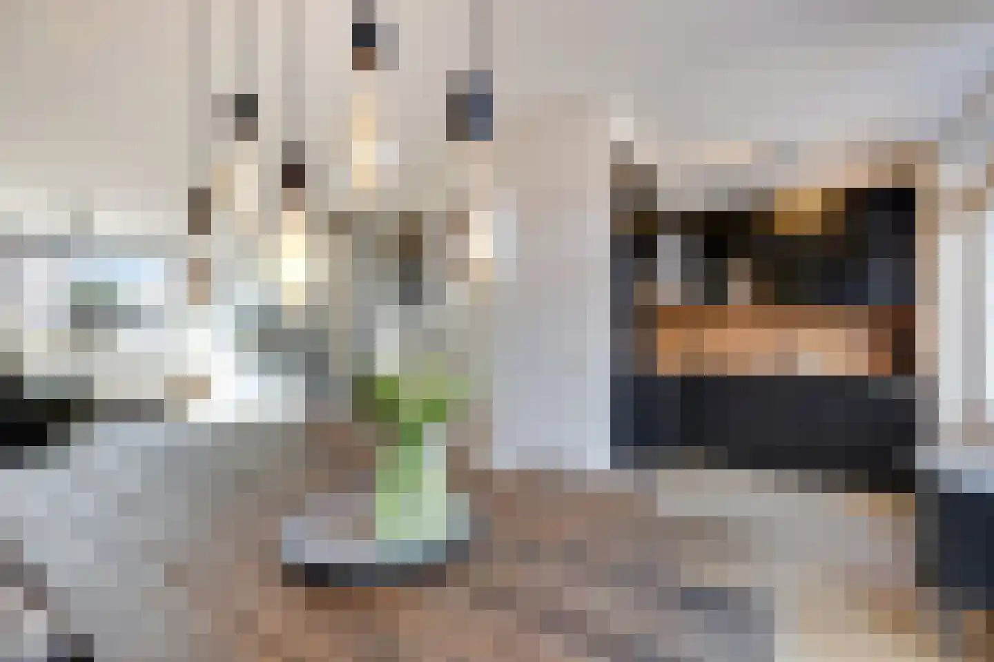 Korenbloem 5 Duiven thumbnail 19