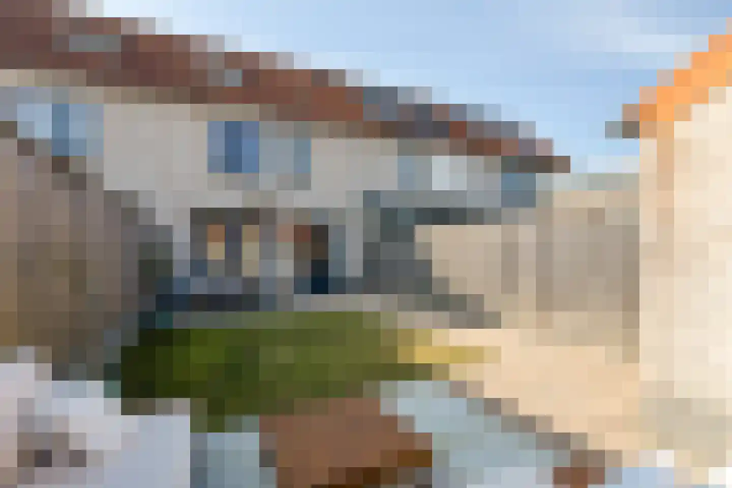 Korenbloem 5 Duiven thumbnail 31