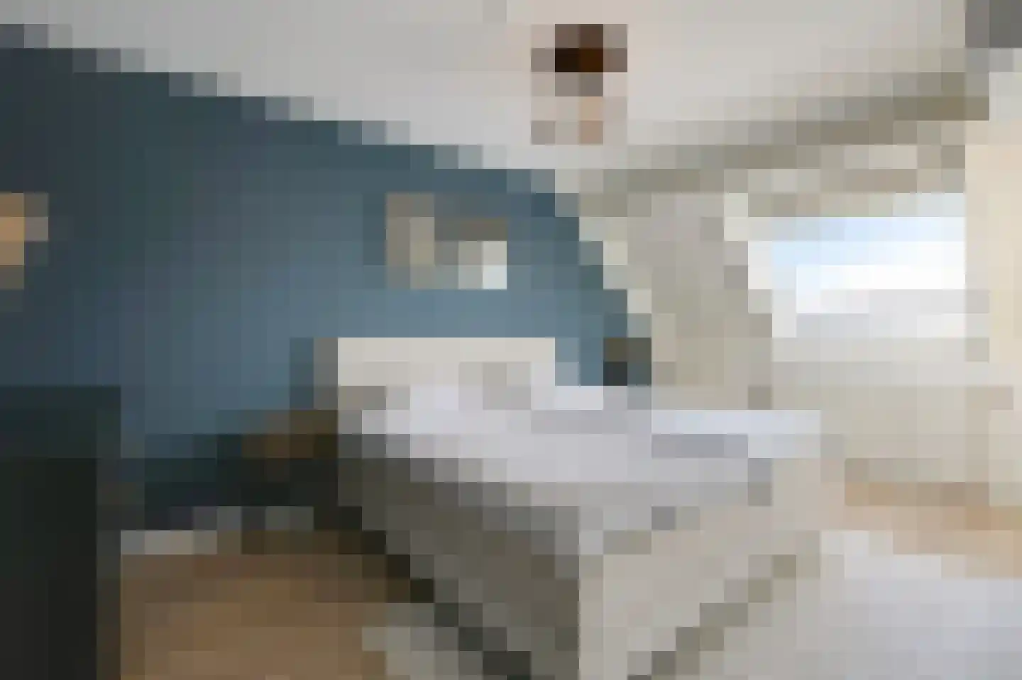 Korenbloem 5 Duiven thumbnail 36
