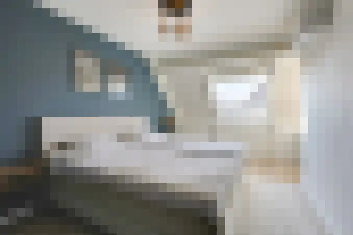 Korenbloem 5 Duiven thumbnail 37