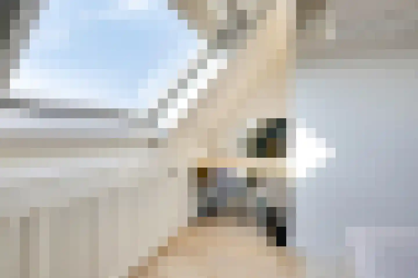 Korenbloem 5 Duiven thumbnail 39