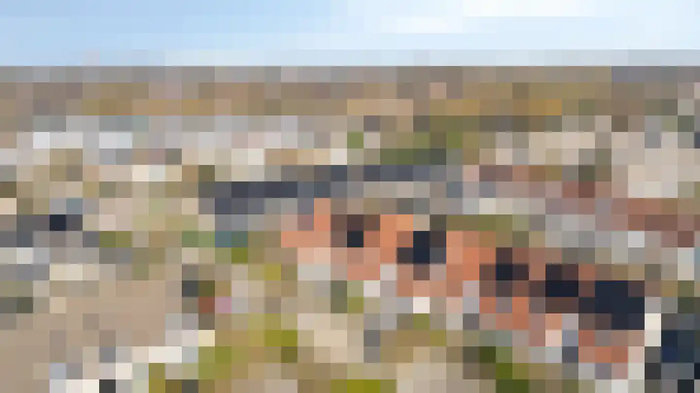 Korenbloem 5 Duiven thumbnail 63