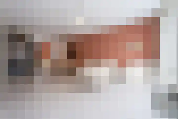 Korenbloem 51 Oudenhoorn thumbnail 16