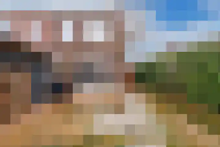 Korenbloem 51 Oudenhoorn thumbnail 22