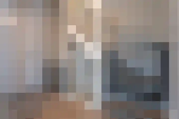 Korenbloem 51 Oudenhoorn thumbnail 24