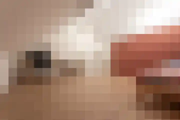 Korenbloem 51 Oudenhoorn thumbnail 39