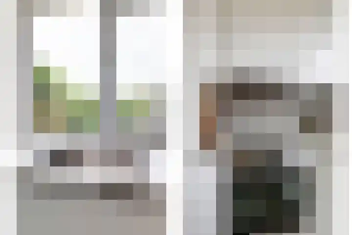 Korenbloem 52 Leiden thumbnail 16
