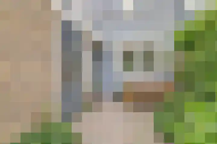 Korenbloem 52 Leiden thumbnail 8