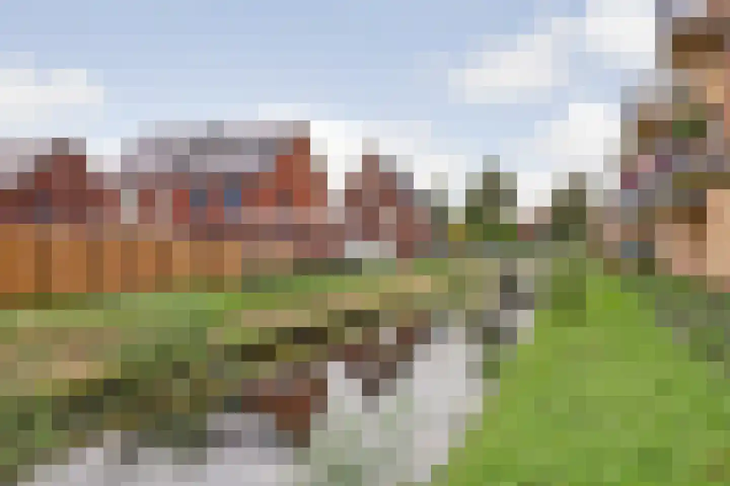 Korenbloem 54 Oudenhoorn thumbnail 30