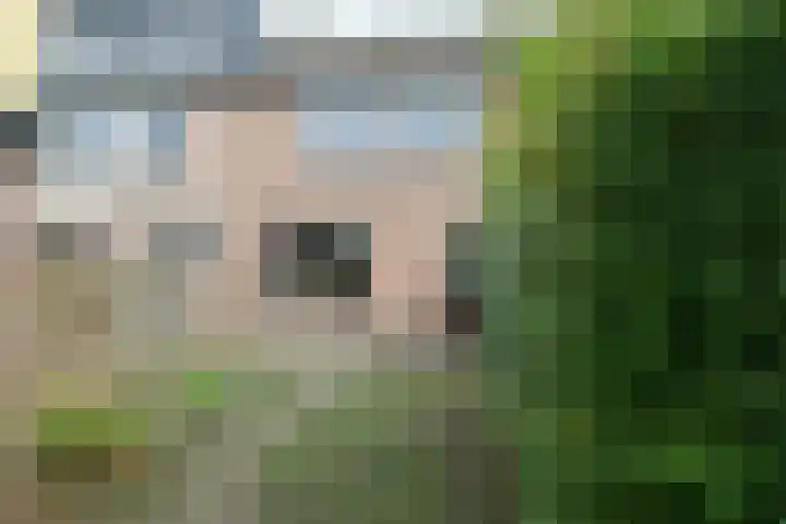Korenbloem 58 Culemborg thumbnail 12
