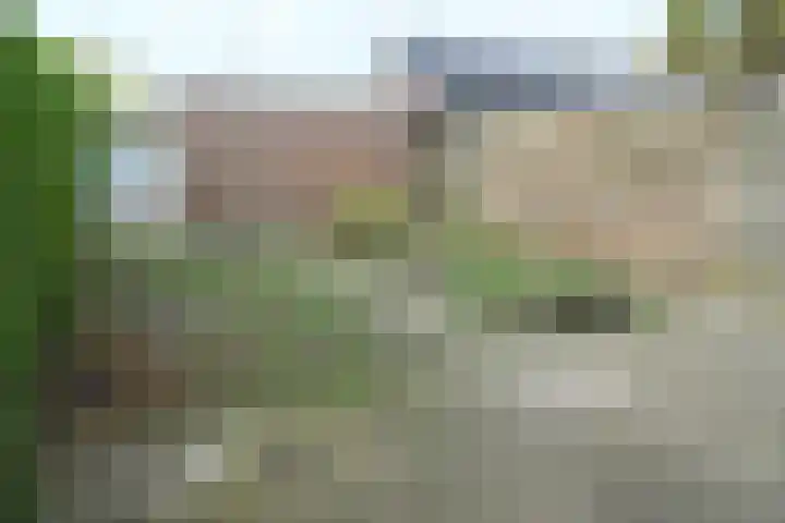Korenbloem 58 Culemborg thumbnail 13