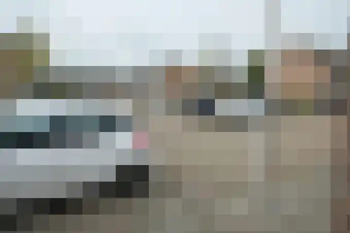 Korenbloem 58 Culemborg thumbnail 14