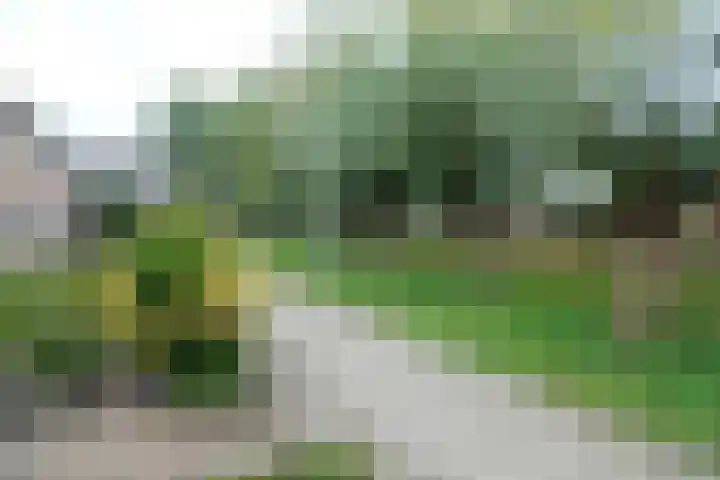Korenbloem 58 Culemborg thumbnail 15